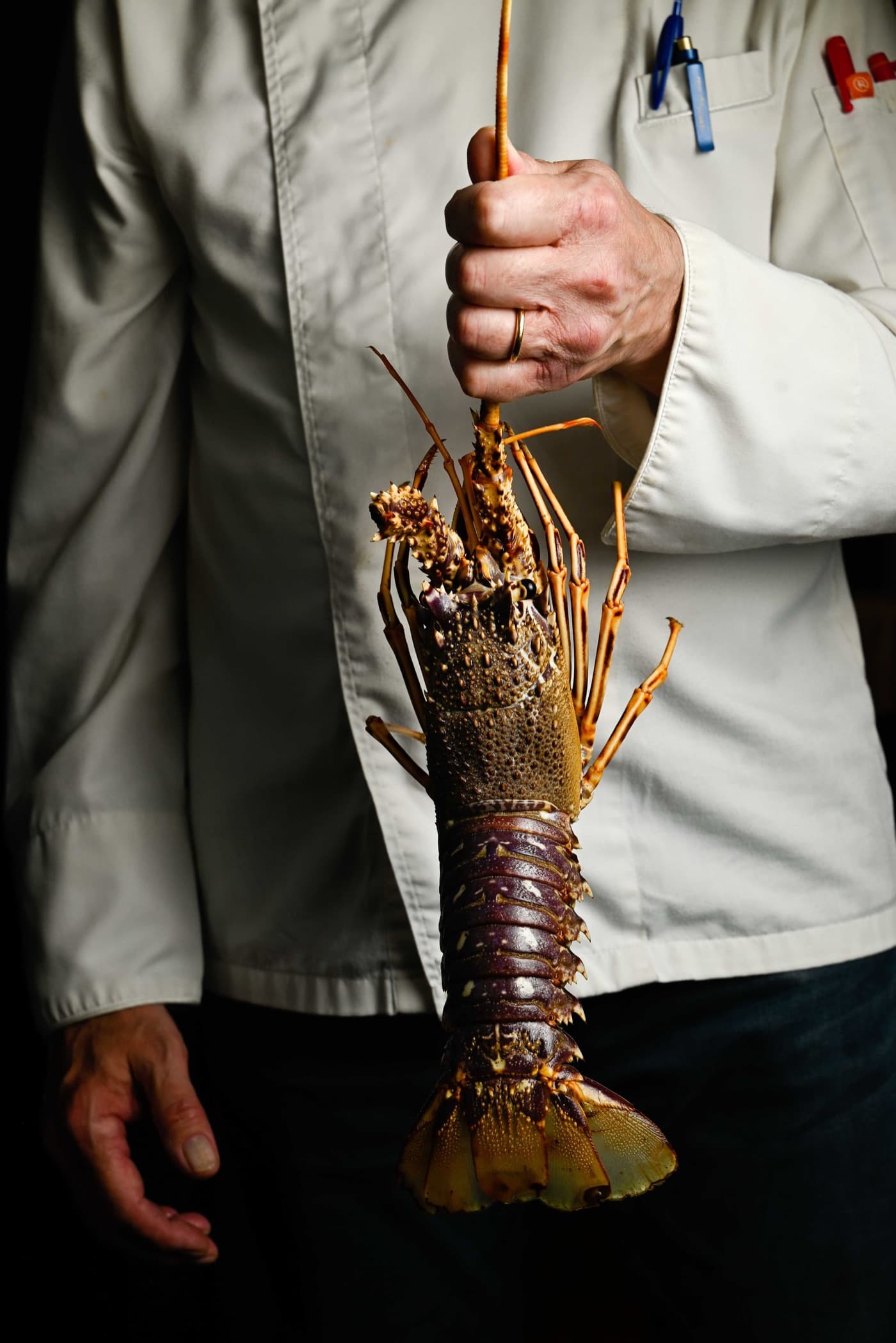 El chef de Hispania sosteniendo una langosta fresca